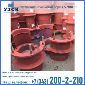 Сальники нажимные серия 5.900-3 в Братске